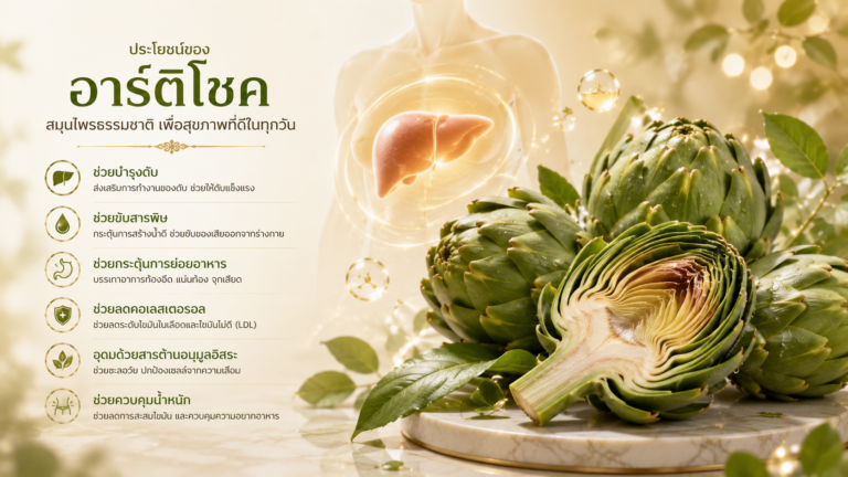 Artichoke: ไอเทมลับฉบับตัวแม่ กู้ตับ ปรับระบบย่อย สวยสตรองจากภายในสู่ภายนอก